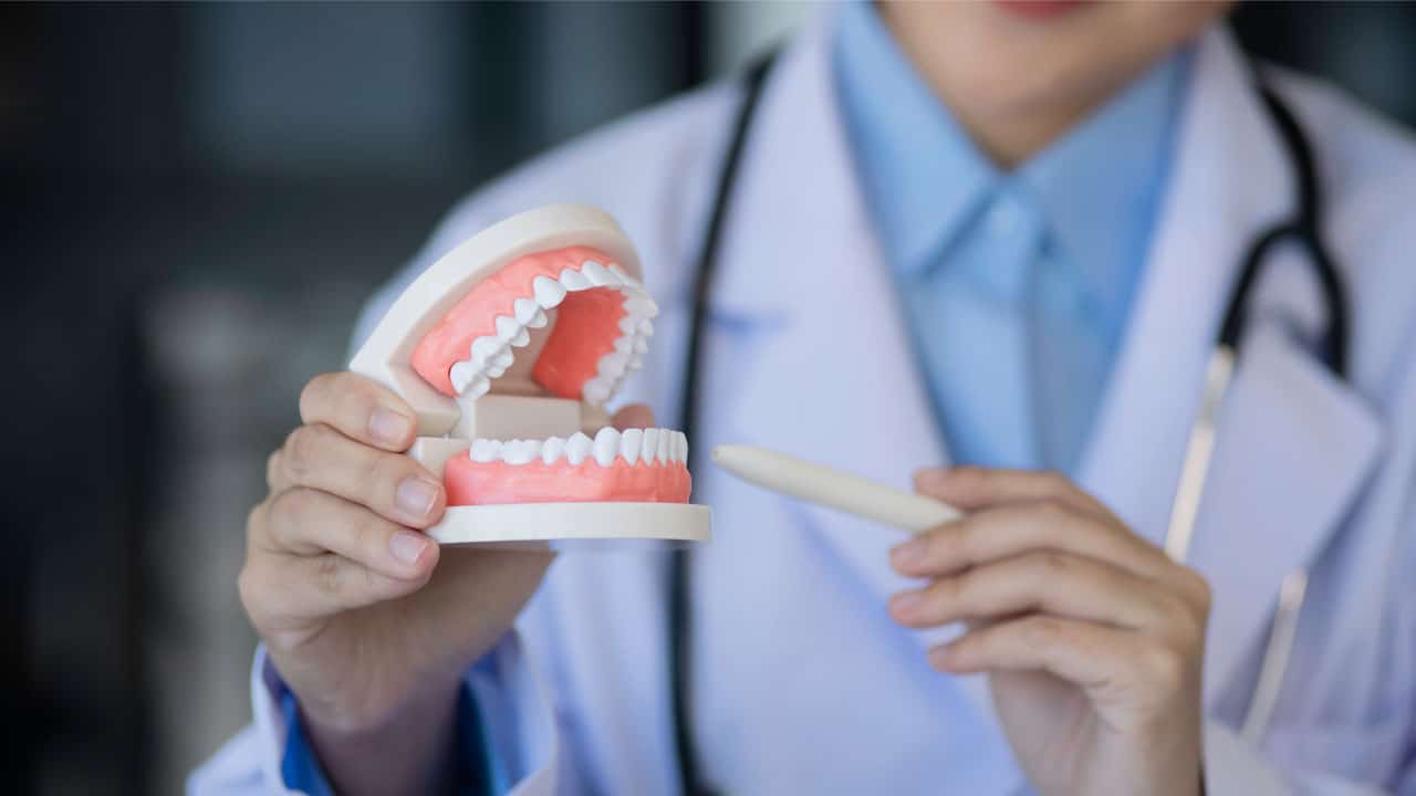 Dentist holding a tooth model to explain dental implant procedure to the patient