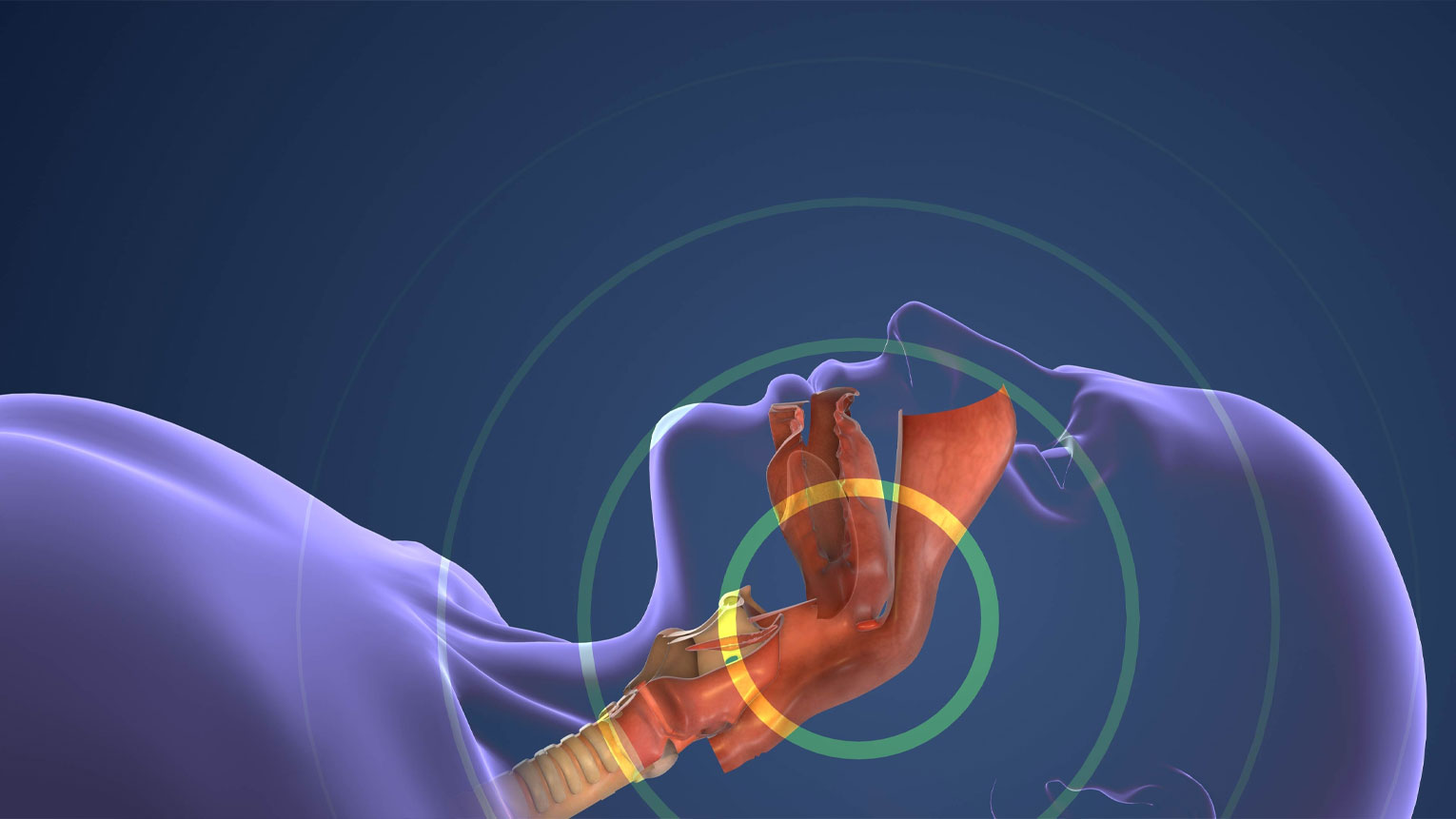 Sleep Apnea and Dental Treatment: What You Need to Know